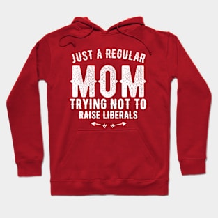 Anti Biden Anti Democrat Anti Liberal Funny Gifts - Just a Regular Mom Funny Grunge Hoodie